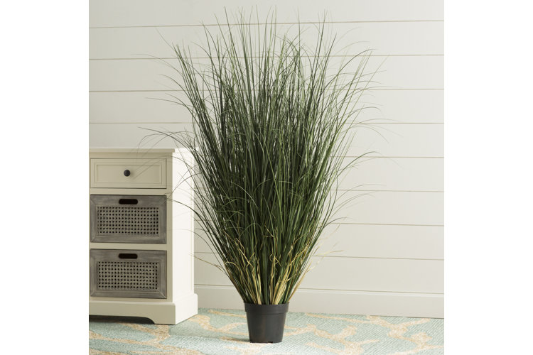 Top 5 Small Faux Plants in 2023 Wayfair